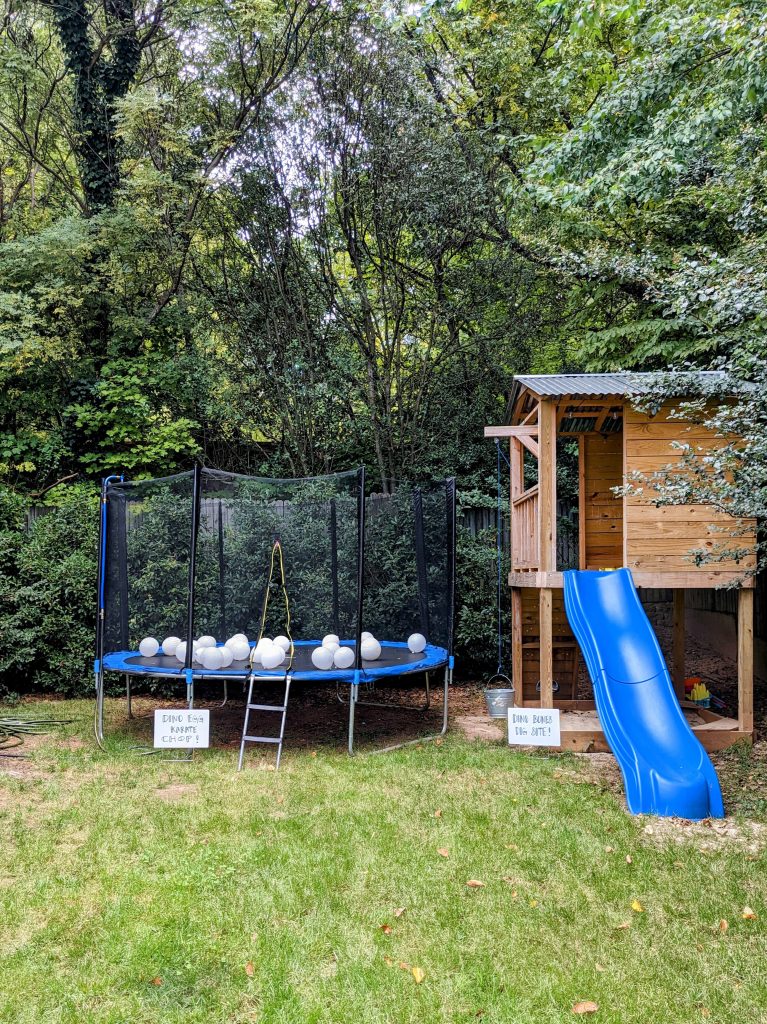 PLANNING THE ULTIMATE NINJA DINO BIRTHDAY PARTY.