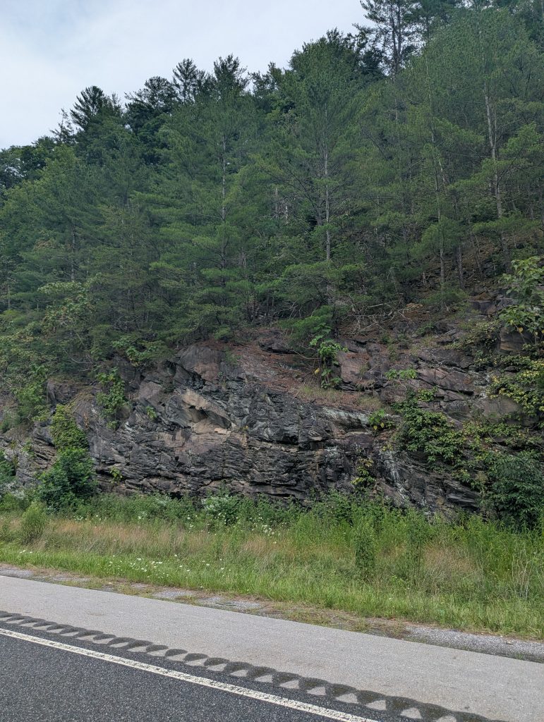 WHEN YOUR ROAD TRIP TURNS SOUR.