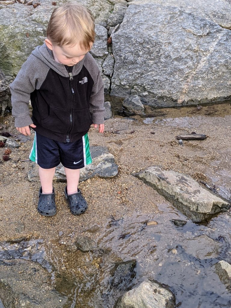 “CROCS ROCK” AIN’T NO CROCK.