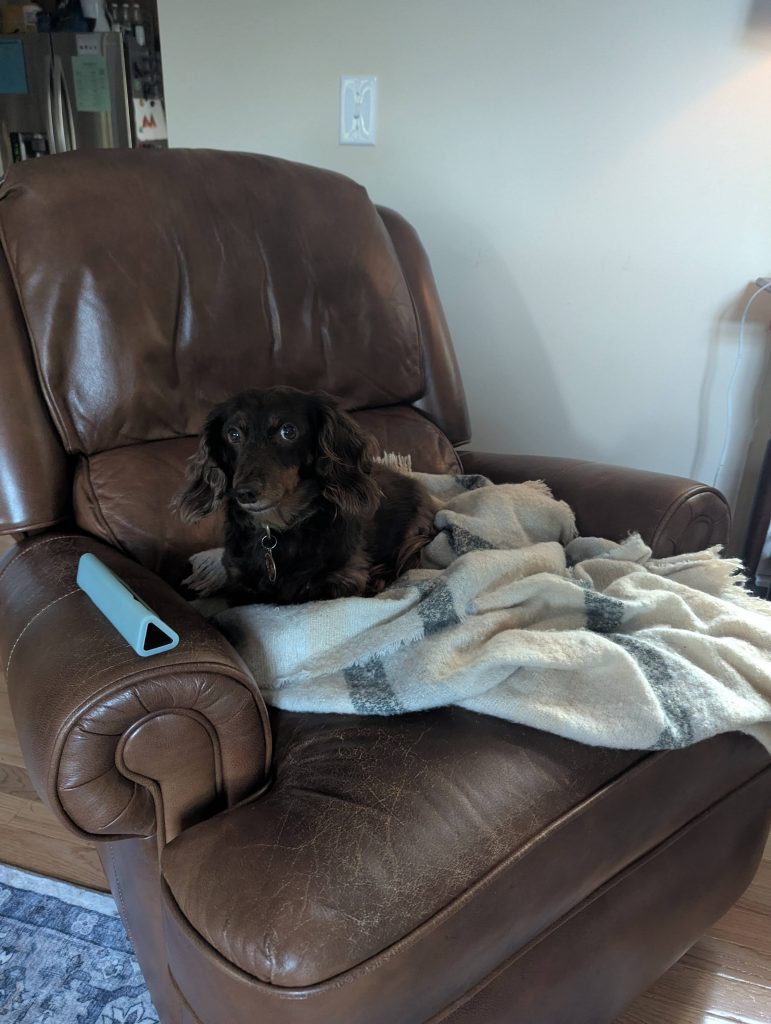 PREP YOUR PUPS FOR TIME AWAY.