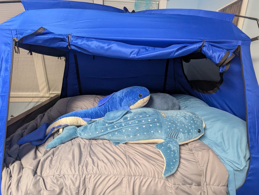 HOW TO HELP YOUR CHILD FEEL SAFE IN THEIR "BIG KID" BEDROOM.