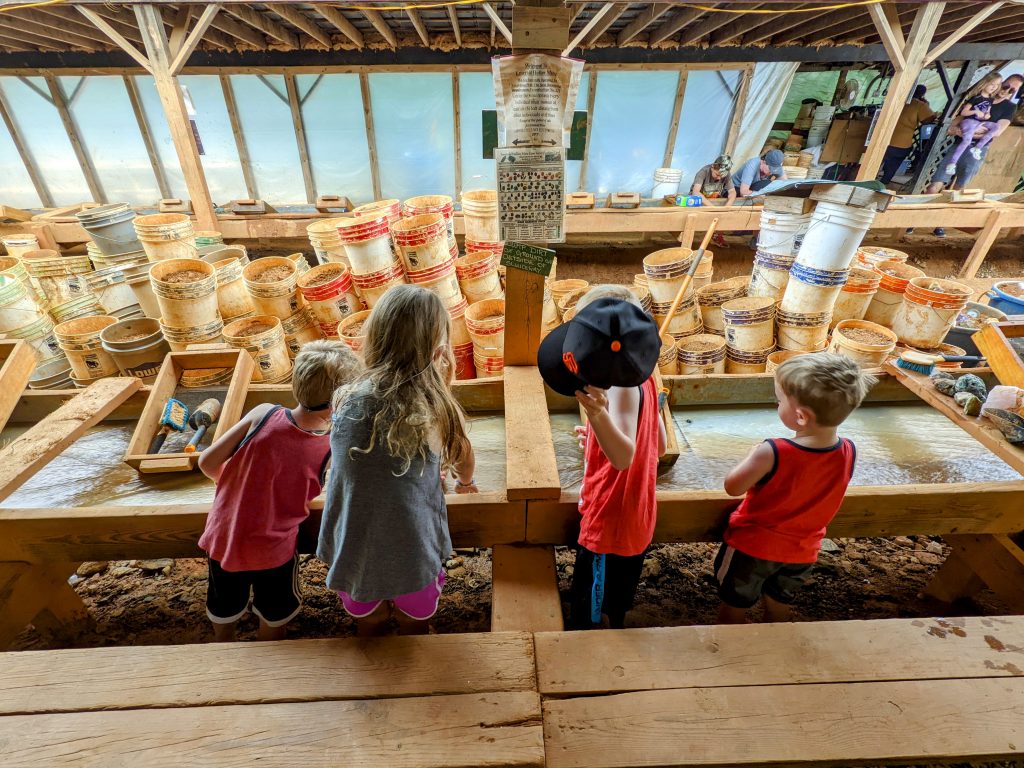 GEM MINING TRULY IS A FAMILY OUTING GEM.