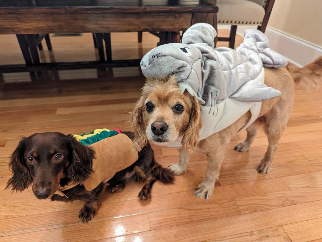 DOGS, KIDS AND CHAOS: WHY A FAMILY PET IS WORTH IT!