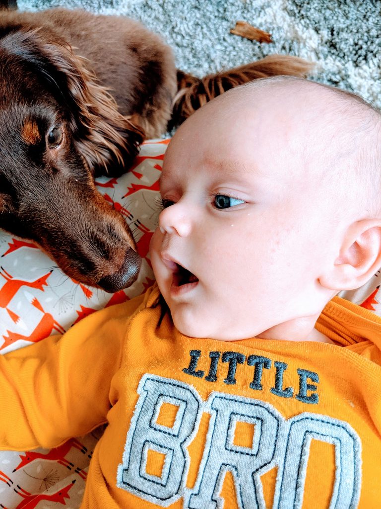 DOGS, KIDS AND CHAOS: WHY A FAMILY PET IS WORTH IT!