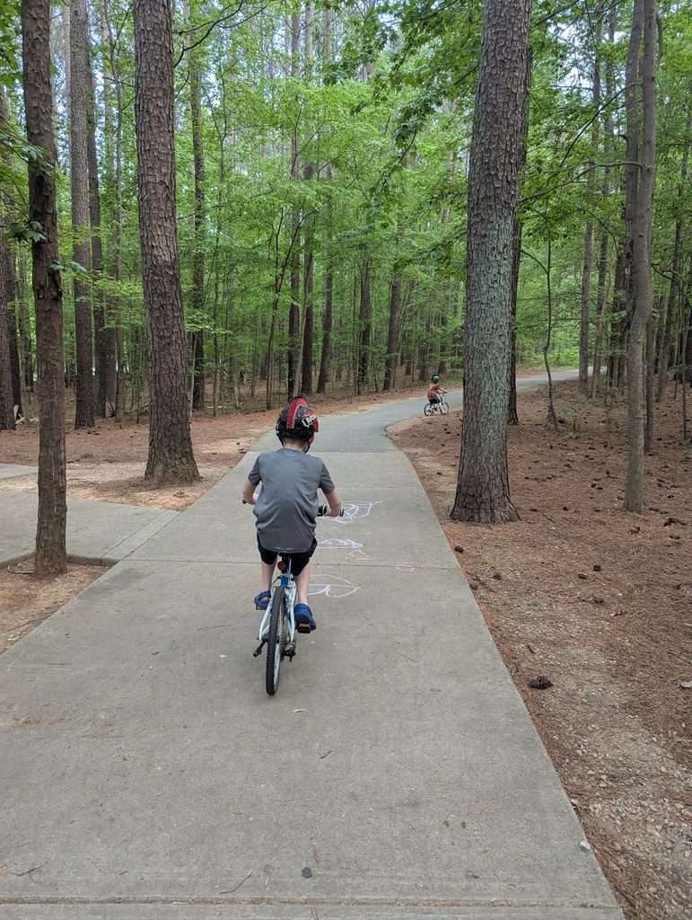 THE BEST BIKE FOR BEGINNING RIDERS IS THE WOOM!