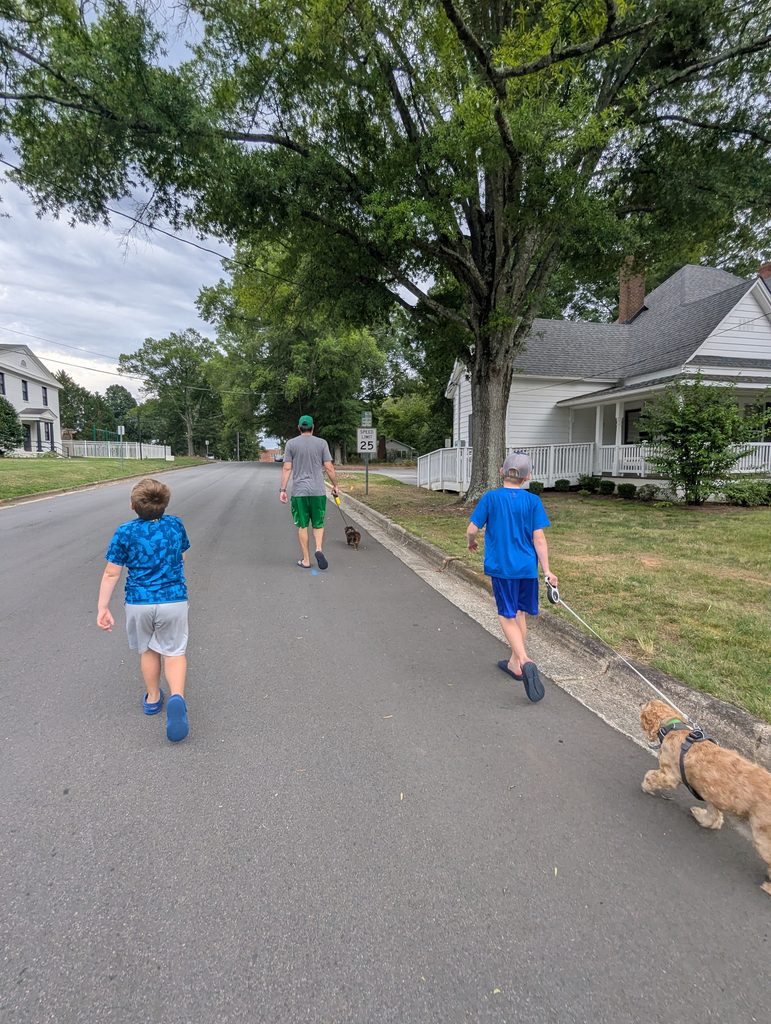 A WALK IS ALWAYS THE ANSWER. 