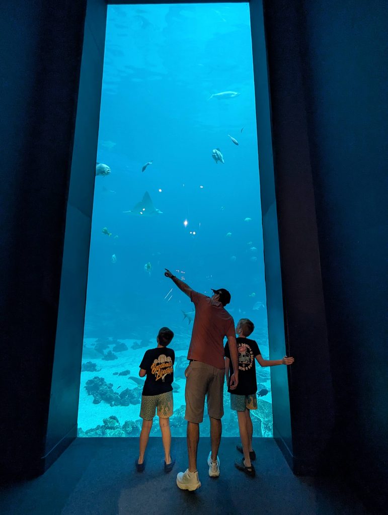 ALWAYS SAY YES TO THE GEORGIA AQUARIUM.