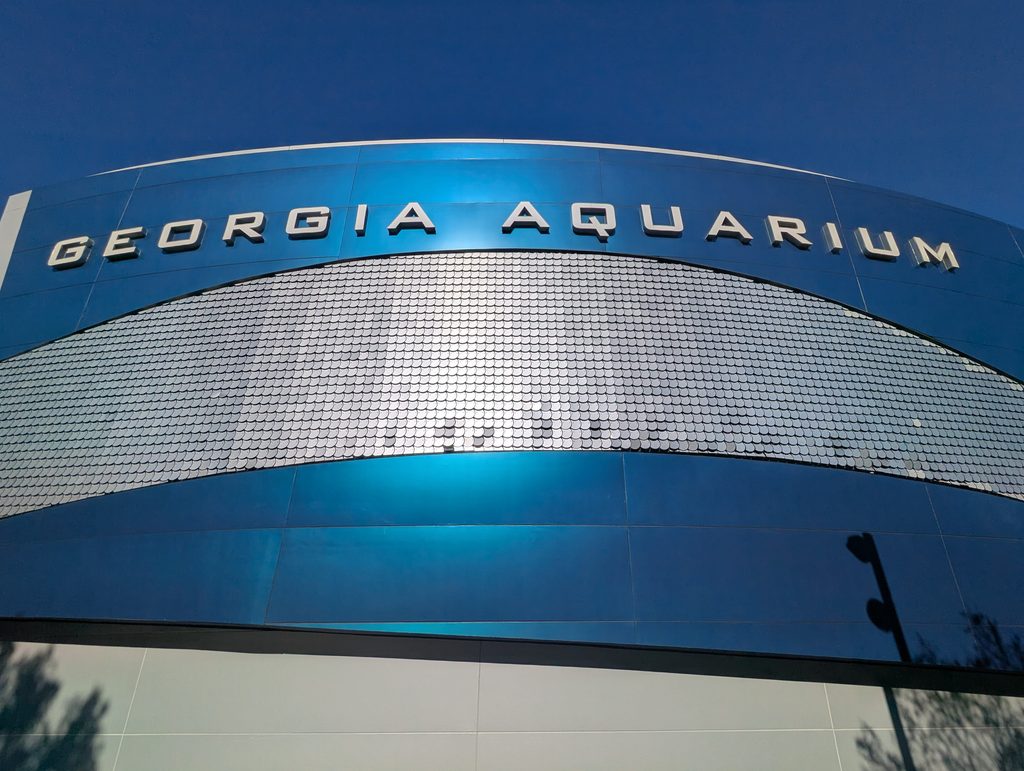 ALWAYS SAY YES TO THE GEORGIA AQUARIUM.